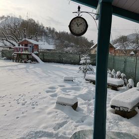 Pensiunea Chalet Bora Vișeu de Jos