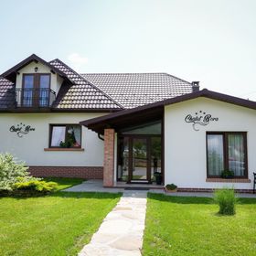 Pensiunea Chalet Bora Vișeu de Jos