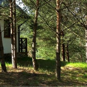 Domek w Sosnowym Lesie - Sauna