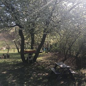 Erdőszéli Parasztház Kékkút