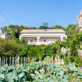 Apartments Luce Lopar