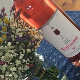 Takács Pince Apartman Hajós