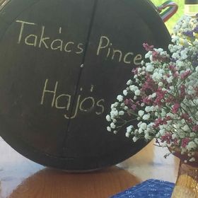 Takács Pince Apartman Hajós