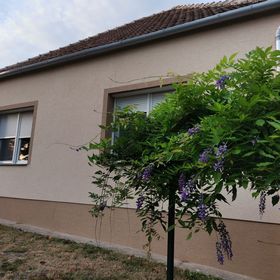 Like Apartman Sümeg