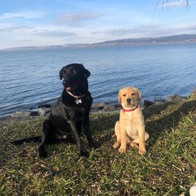 Bonita Apartman Balatonberény