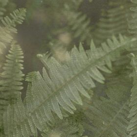 Herbarium boutique hotel, s.r.o. Olomouc