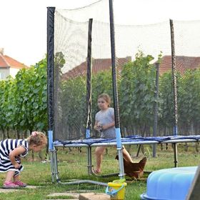 Penzion Vinařství Tomanovi Moravská Nová Ves