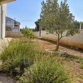 Apartments Vito Razanj