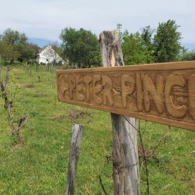 Péter Pince Nyaralóház Vászoly