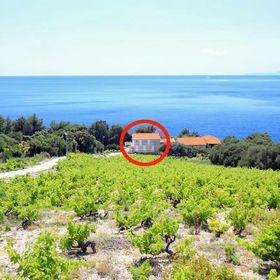 Családi Apartmanok A Tenger Mellett Dingac - Borak, Peljesac - 18060 Dingač - Borak