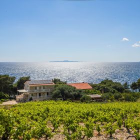 Családi Apartmanok A Tenger Mellett Dingac - Borak, Peljesac - 18060 Dingač - Borak