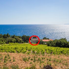 Családi Apartmanok A Tenger Mellett Dingac - Borak, Peljesac - 18060 Dingač - Borak