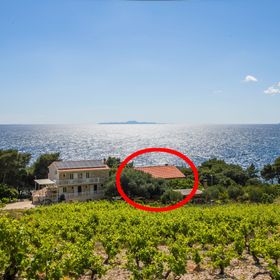 Családi Apartmanok A Tenger Mellett Dingac - Borak, Peljesac - 18065 Dingač - Borak