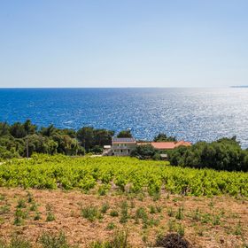 Családi Apartmanok A Tenger Mellett Dingac - Borak, Peljesac - 18065 Dingač - Borak