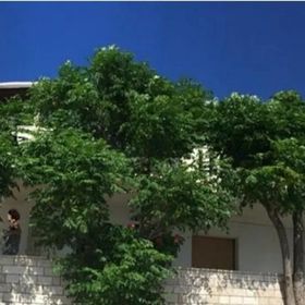 Apartmanok A Tenger Mellett Kustici, Pag - 18248 Kustići