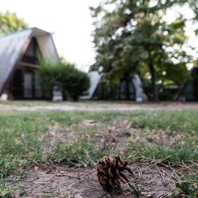 Édenkert Kemping Délegyháza