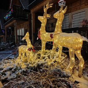 Domki u Jacka-Sauna & Relax z widokiem na góry Zakopane