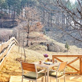 Căsuța de sub cireș Piatra-Neamț