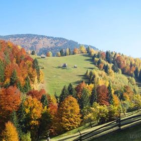 Pensiunea Guesthouse Bran Șimon