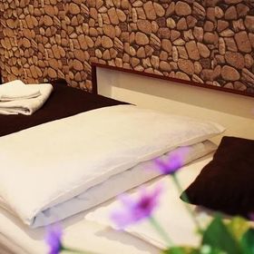 Pensiunea Venus Timișoara