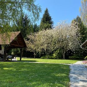 Sárkány Bio Panzió Csöde