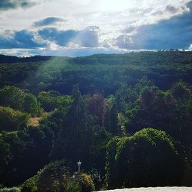 Forrás Hegyi Apartman Felsőörs