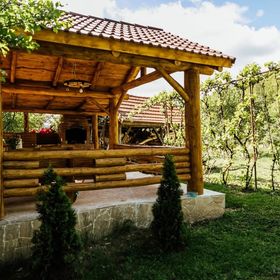 Casa Crișan Vadu Crișului