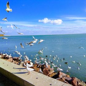 Diófa Lak Balatonalmádi