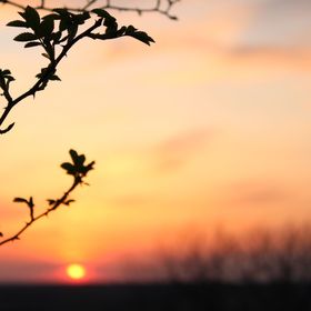 Kékcsengő Vendégház Tamási