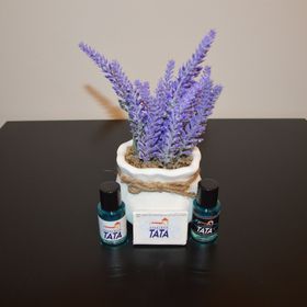 Lívia Apartman Tata