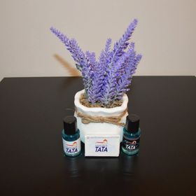 Lívia Apartman Tata