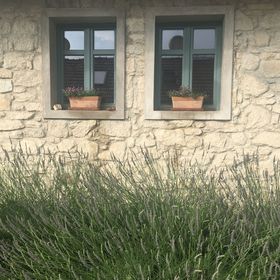 Hungry Grape Guests Vendégház Erdőbénye