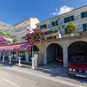 Apartments Moloco Drvenik