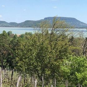 Balatongyörök Panoráma Üdülőház