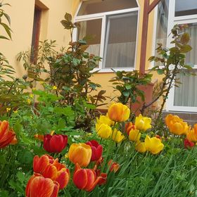 Deák 4 Apartman Hajdúszoboszló