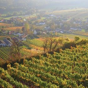 Vendégház Winten - ABU111