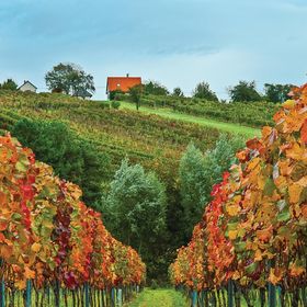 Vendégház Eisenberg an der Pinka - ABU114