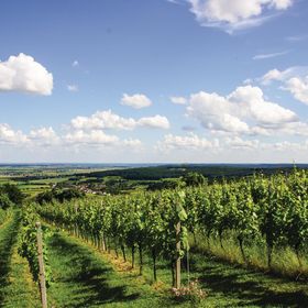 Vendégház Eisenberg an der Pinka - ABU115