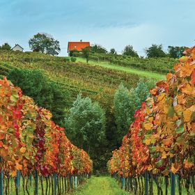 Vendégház Eisenberg an der Pinka - ABU115