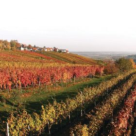 Vendégház Heiligenbrunn - ABU121