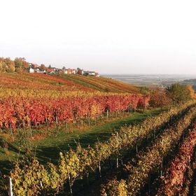 Vendégház Heiligenbrunn - ABU121