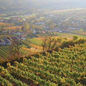 Vendégház Heiligenbrunn - ABU121