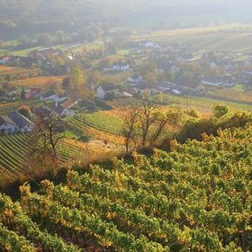 Vendégház Heiligenbrunn - ABU121