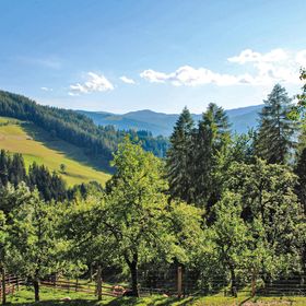 Vendégház Bad Sankt Leonhard im Lavanttal - AKA076