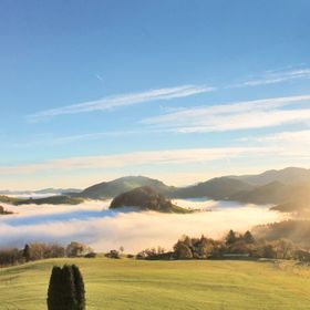 Apartman Ertl - ANO113