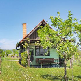 Vendégház Deutsch Schützen-Eisenberg - ABU102