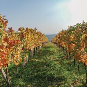 Vendégház Eisenberg an der Pinka - ABU150