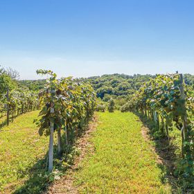 Vendégház Heiligenbrunn - ABU159