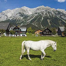 Apartman Ramsau am Dachstein - AST146