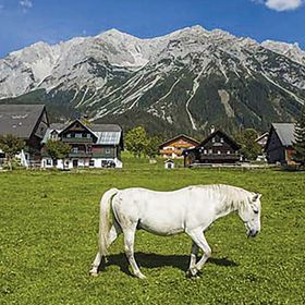 Apartman Ramsau am Dachstein - AST146